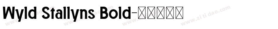Wyld Stallyns Bold字体转换